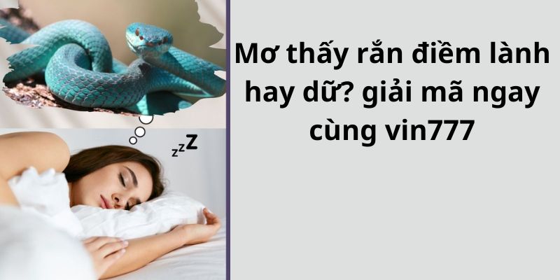 Mơ thấy rắn điềm lành hay dữ? giải mã ngay cùng vin777