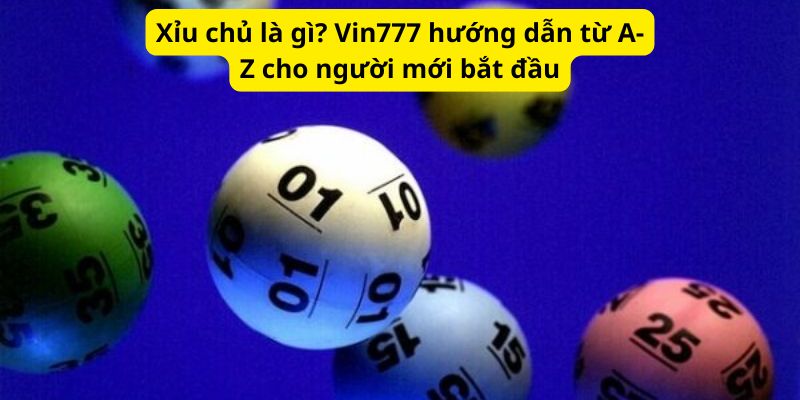 Xỉu chủ là gì? Vin777 hướng dẫn từ A-Z cho người mới bắt đầu